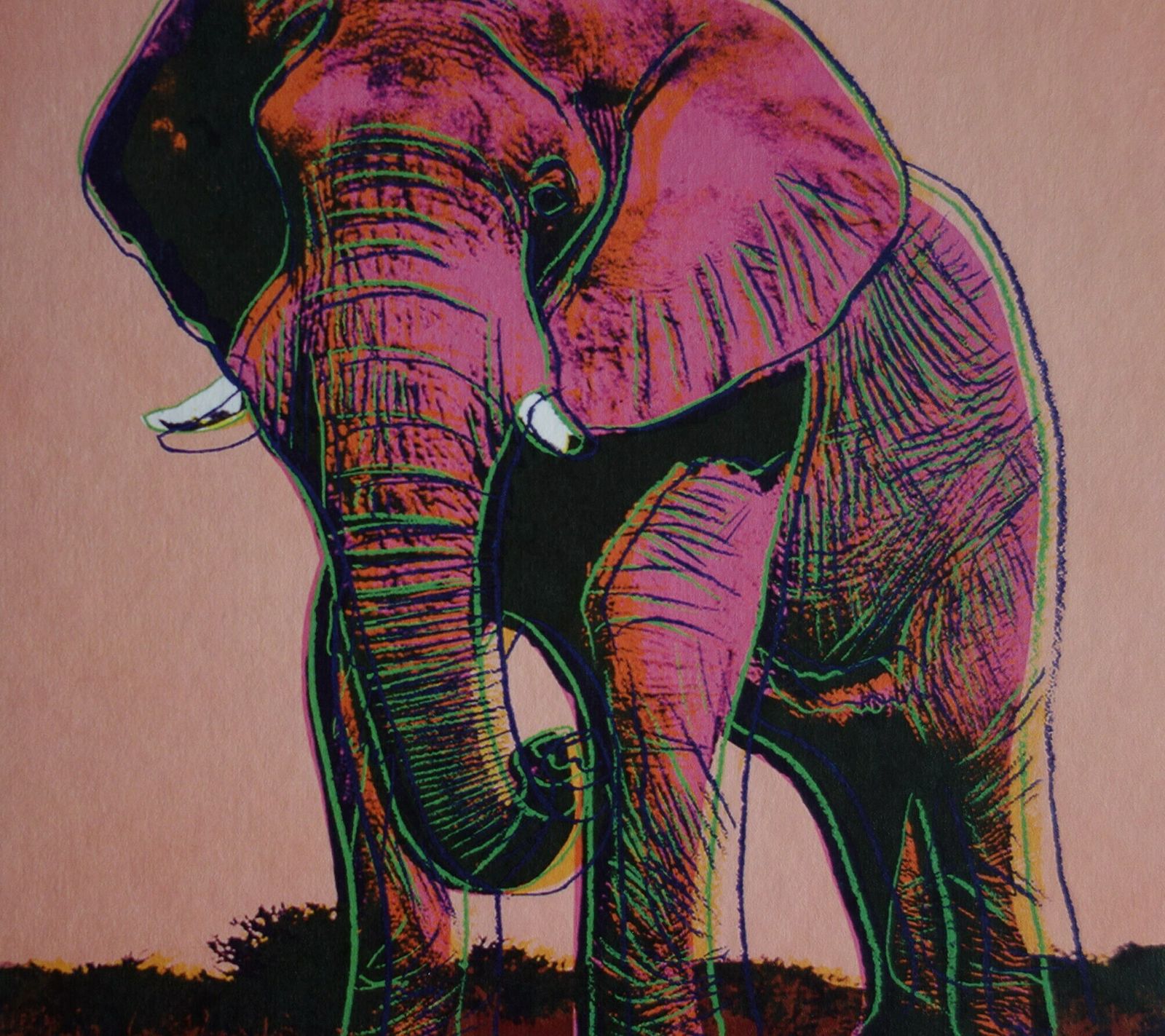 Fine Pop Art Limited Edition Print   Animal Series   Elephant, Andy Warhol, Signed & Numbered photo 183.0