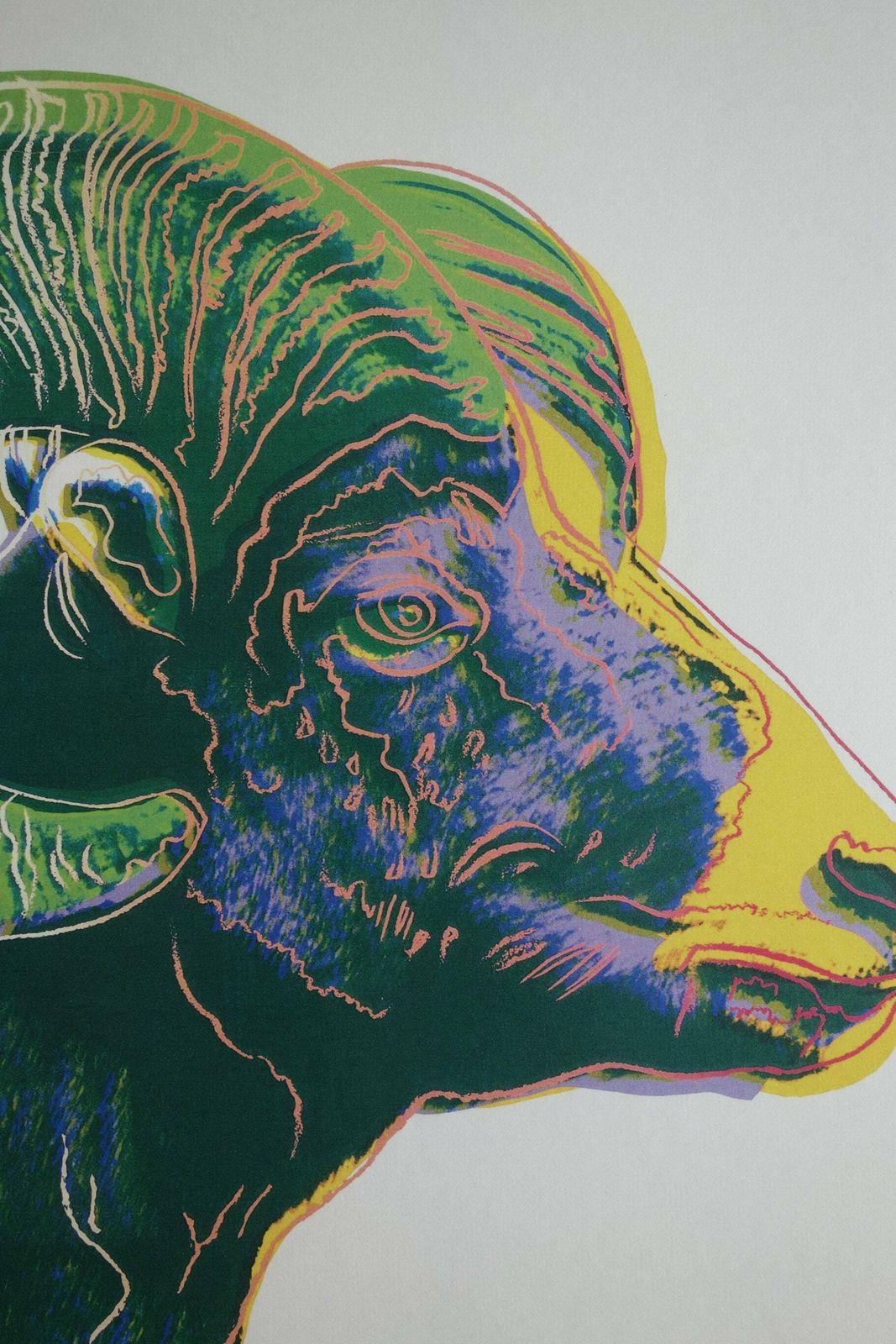 Fine Pop Art Limited Edition Print   Animal Series   Bighorn Ram, Andy Warhol, Signed & Numbered photo furniture