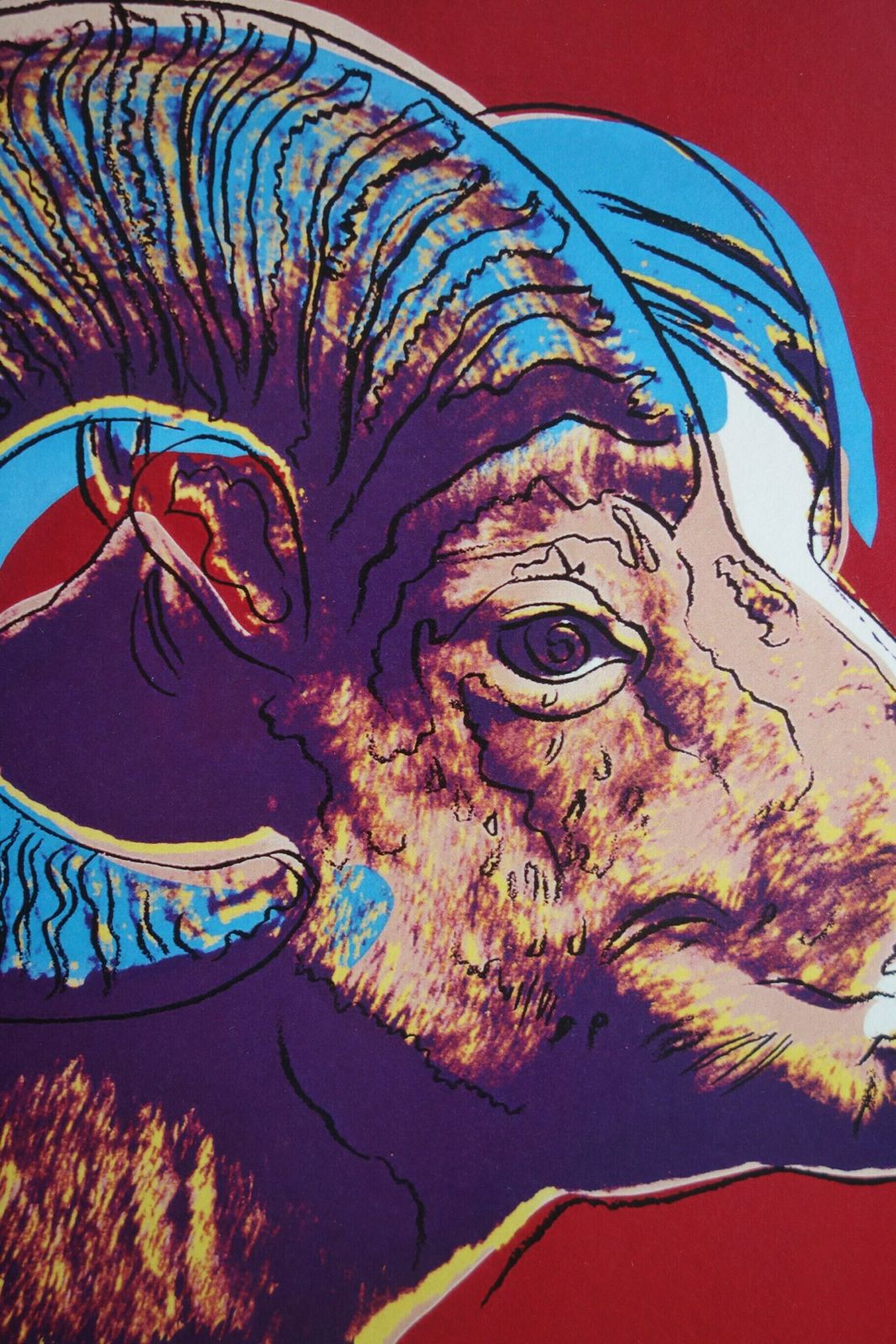 Fine Pop Art Limited Edition Print   Animal Series   Bighorn Ram, Andy Warhol, Signed & Numbered photo furniture