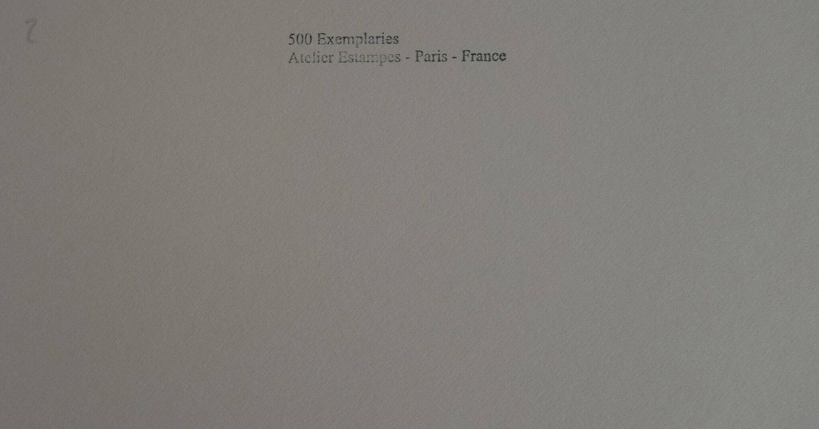 Fine Cubist Limited Edition Print   Blue Period Portrait Of A Woman, Pablo Picasso, Signed & Numbered photo vinterior