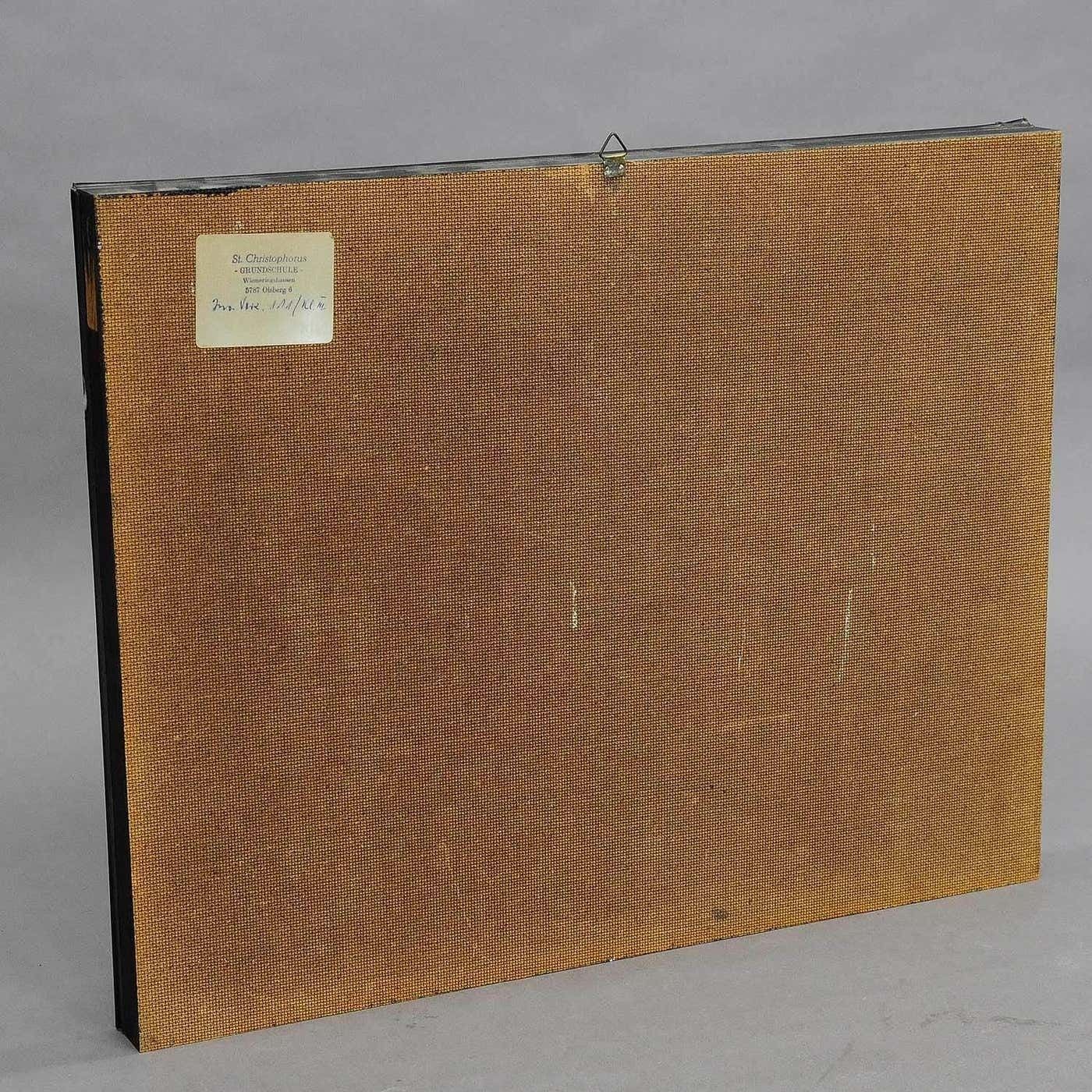 Vintage Schoolvitrine – Insecten Van De Heide photo buy