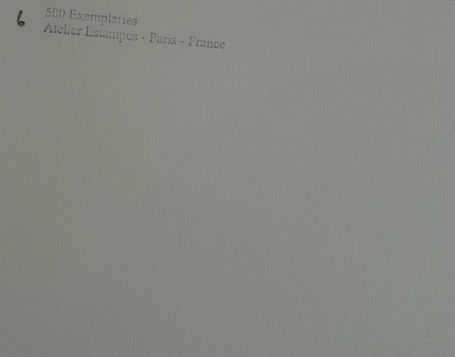 Fine Cubist Limited Edition Print – Still Life, Pablo Picasso, Signed & Numbered photo vinterior