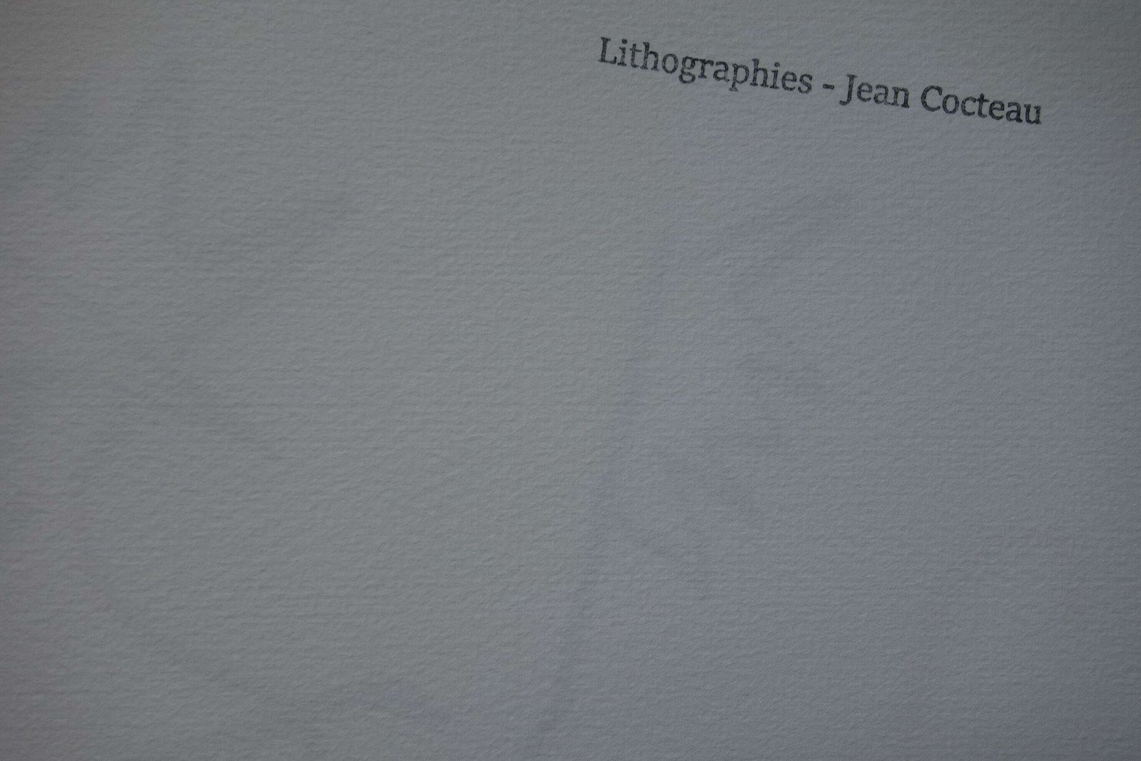 Rare Beautiful Limited Illustration Print   Portrait, Jean Cocteau, Signed, Numbered & Stamped photo vinterior