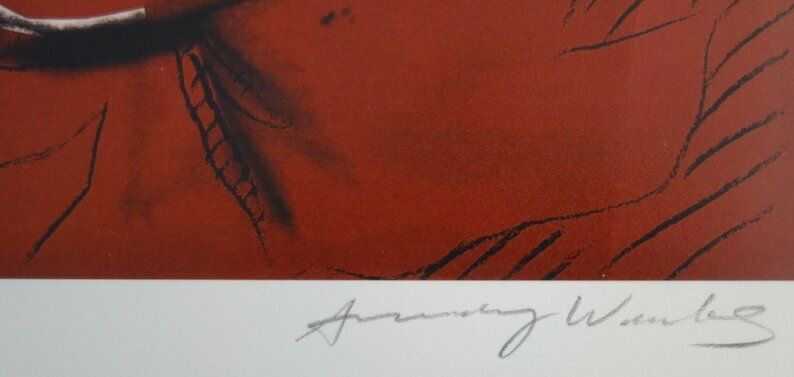Fine Pop Art Limited Edition Print – Muhammad Ali, Andy Warhol, Signed & Numbered photo Art