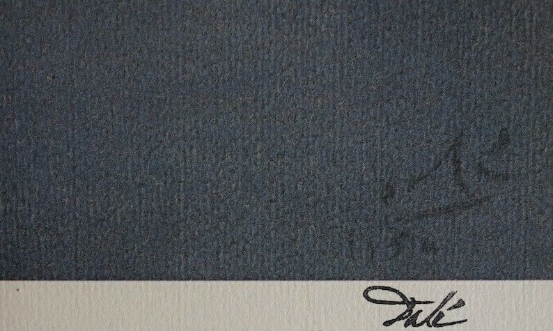 Fine Surrealist Edition Print, Salvador Dali, Signed & Stamped photo Art