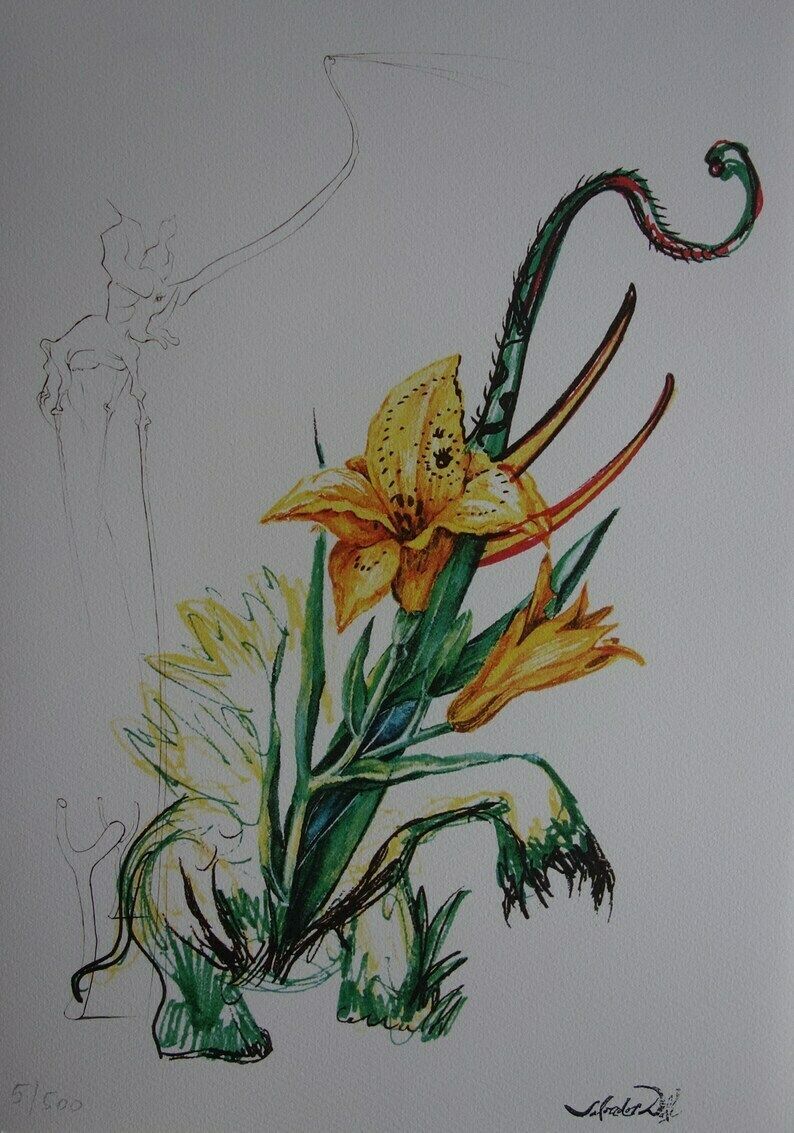 Fine Surrealist Limited Edition Print, Flower And Elephant, Salvador Dali, Signed & Numbered In Pencil