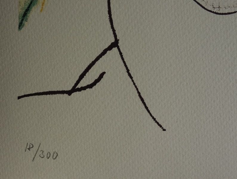 Fine Surrealist Limited Edition Print, Butterfly Portrait, Salvador Dali, Signed & Numbered In Pencil photo for sale