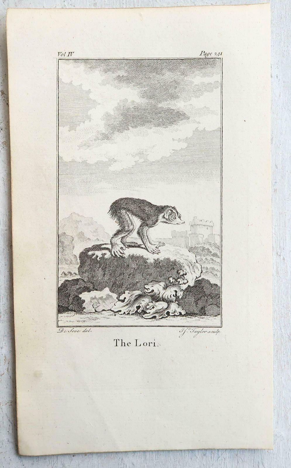 photo furniture Set Of 8 Original Antique Prints Of Monkey's, Circa 1780