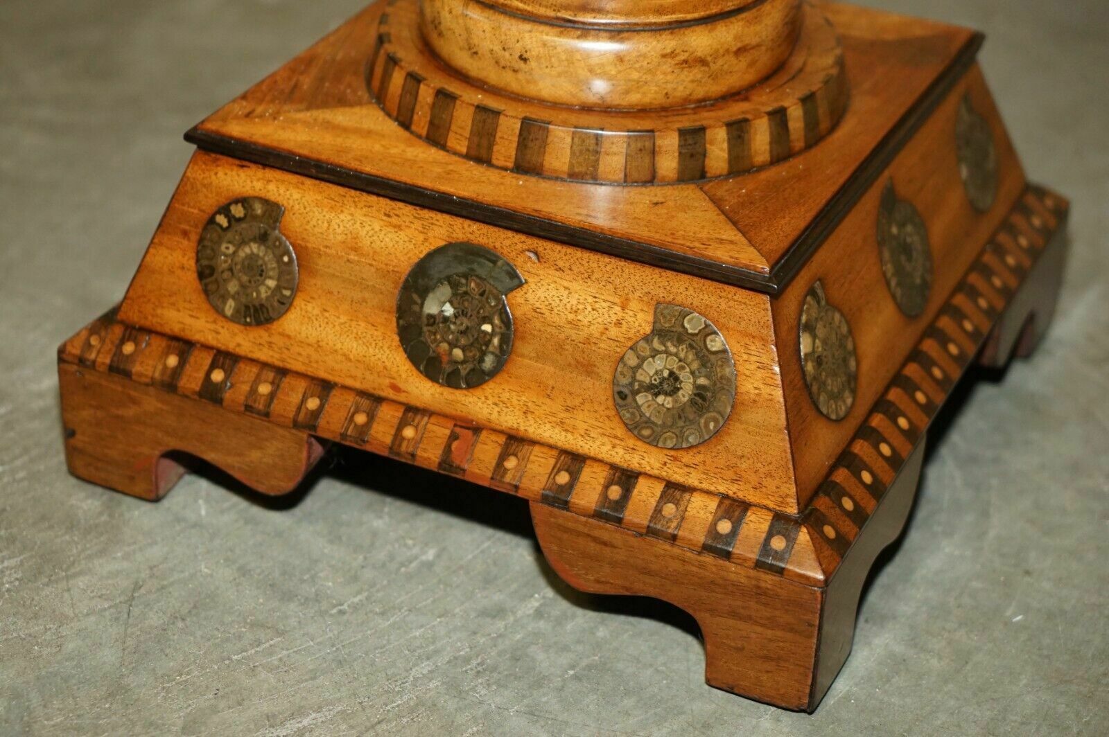 Fine Antique Victorian Burr Oak Ammonite Fossil Corinthian Pillar Pedestal Stand photo buy