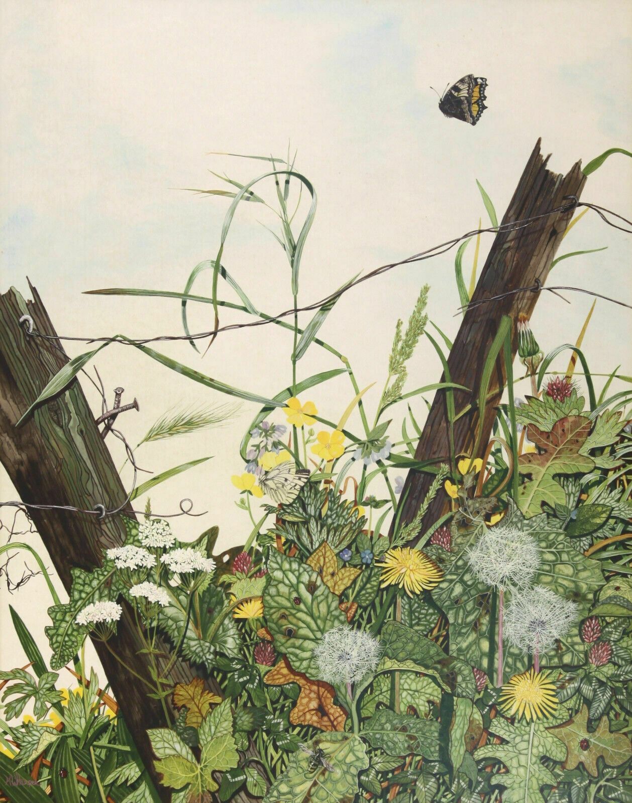 Watercolour By K W Harper. Titled "Wonder Of Nature" photo furniture