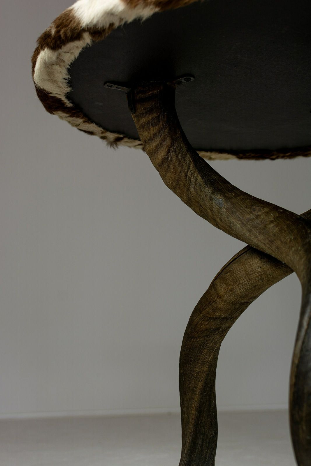 Rare Zebra Hide And Kudu Side Table. 20th Century Design. Unique End Table. Taxidermy photo vintage