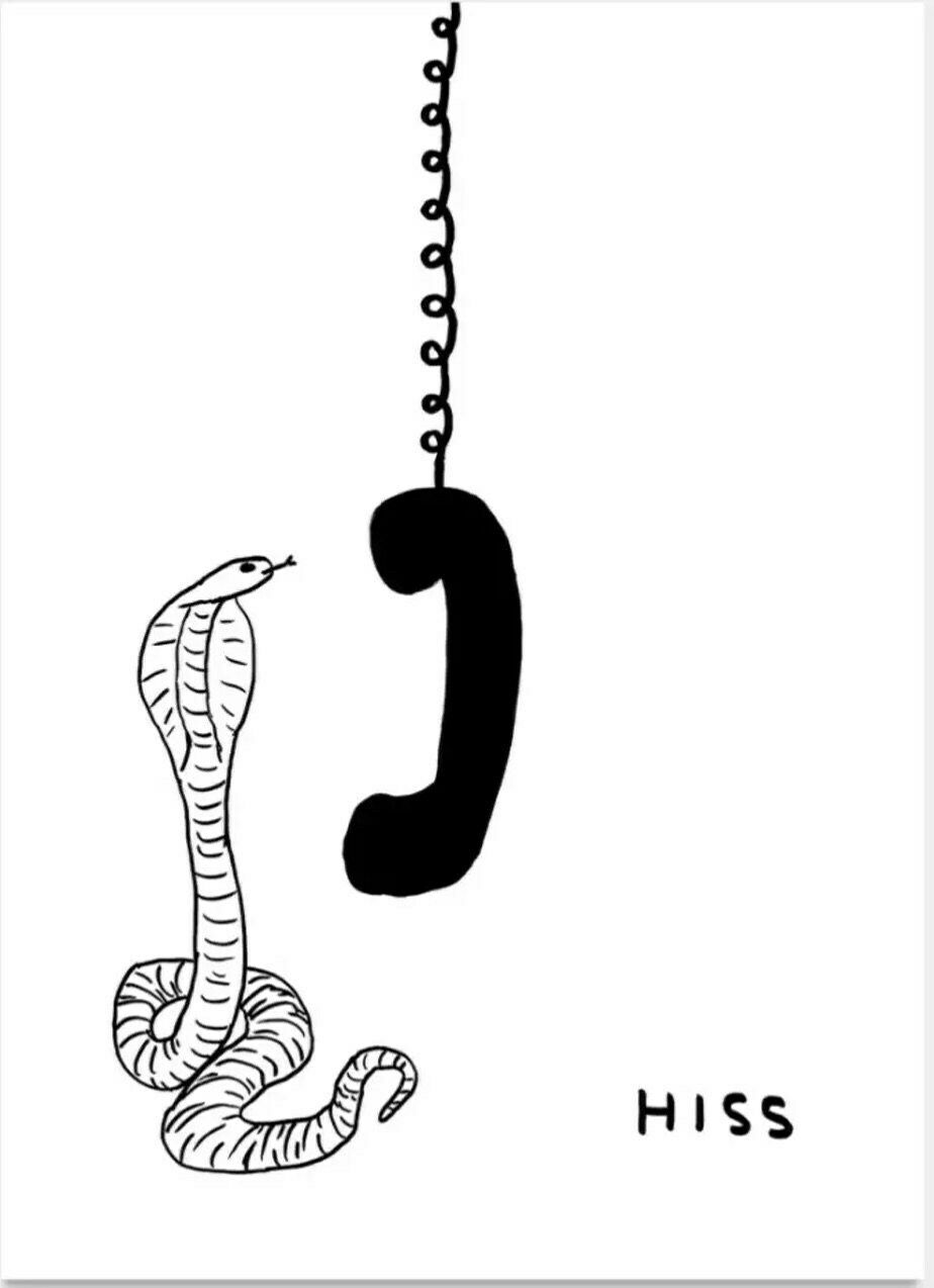Ltd Edition David Shrigley Print   Hiss   Stunning Authentic Museum Exhibition Poster   Snake And Phone