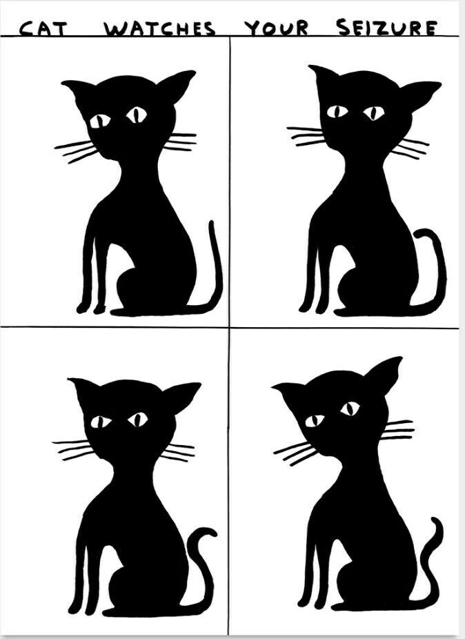 Rare Official David Shrigley Ltd Print   Cat Watches Your Seizure   Stunning Museum Quality Poster
