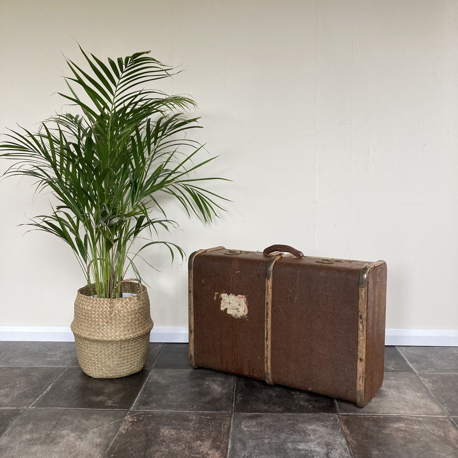 photo furniture Characterful Antique Bentwood Steamer Trunk / Suitcase / Luggage / Travel Shop Display