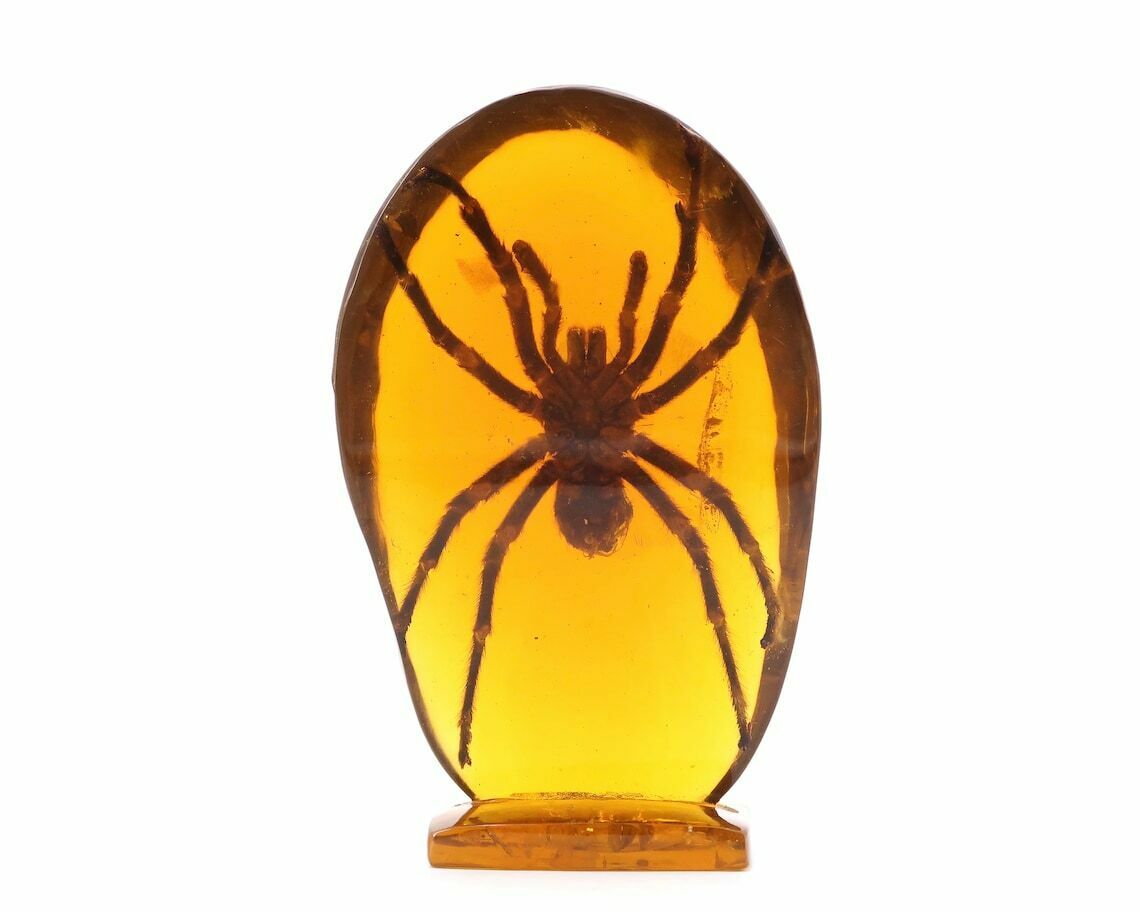 Resin Sculpture With Tarantula, 1970s / Cabinet Of Curiosity, Lucite, Spider, Inclusion, Pierre Giraudon, Insect, Paperweigth photo buy