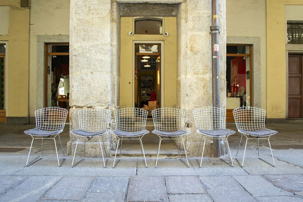 Nr. 420 Chairs By Harry Bertoia For Knoll International, 1950s, Set Of 6