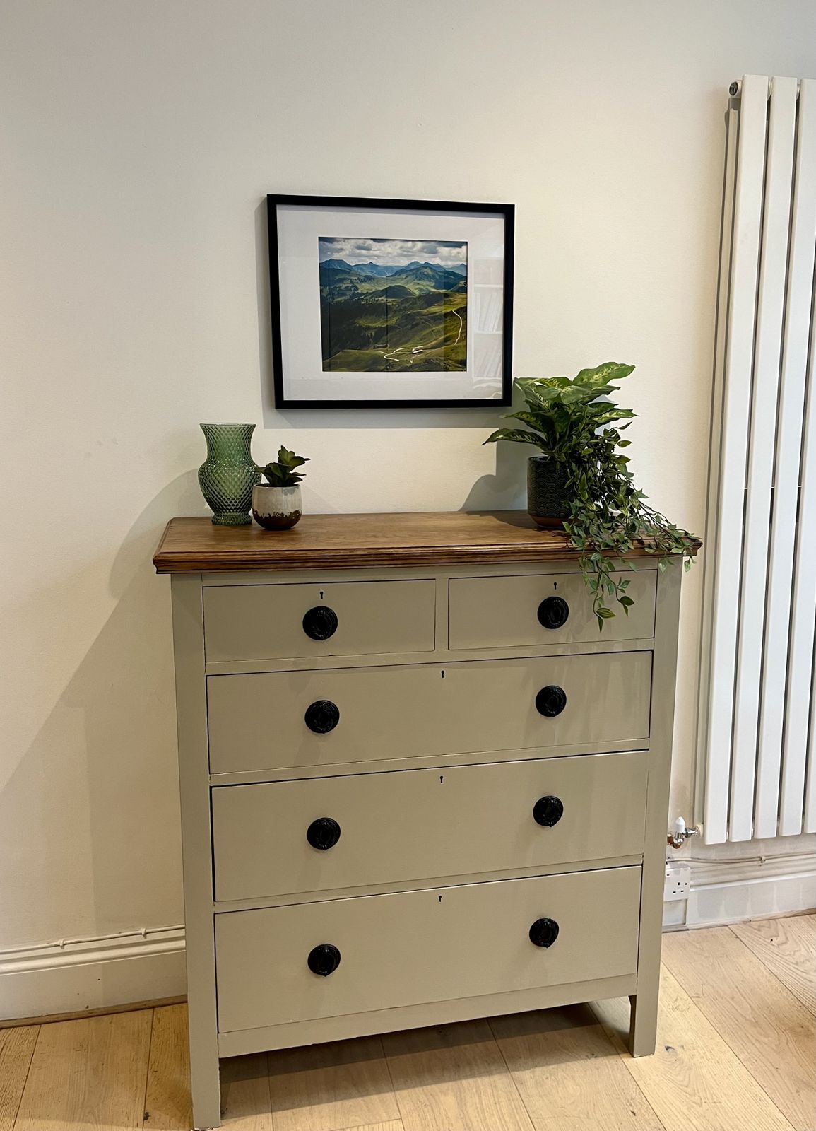 Vintage Painted Chest Of