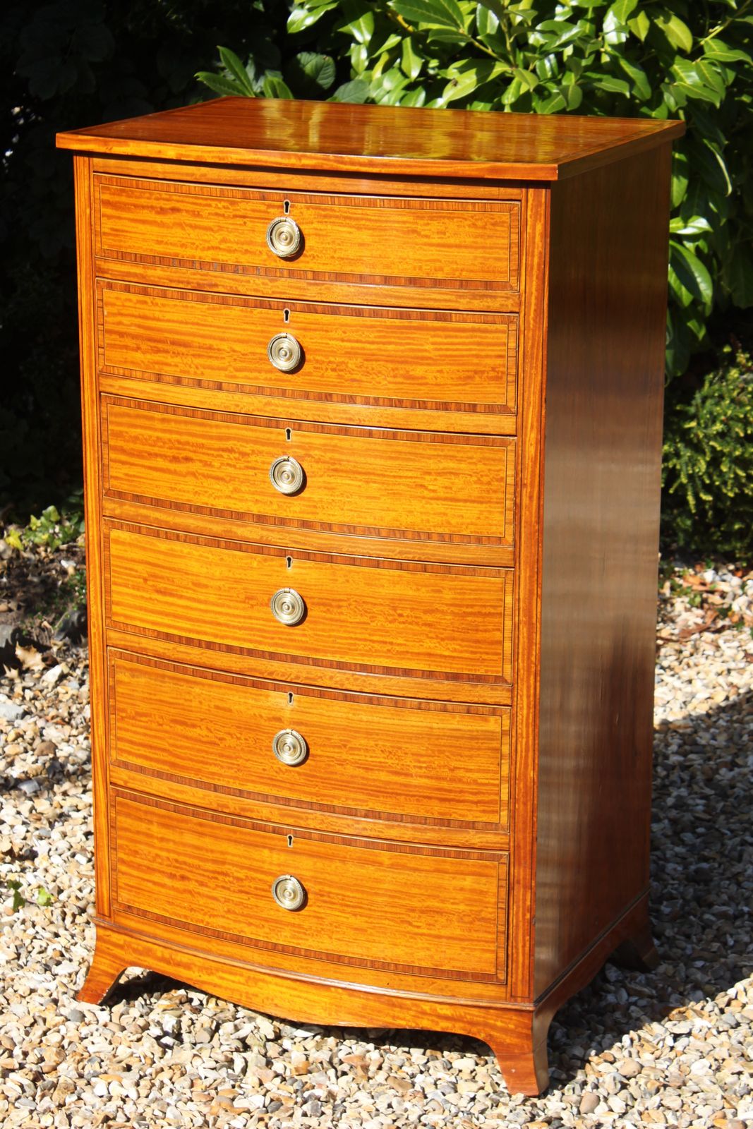 Sheraton Revival Satinwood Chest photo for sale
