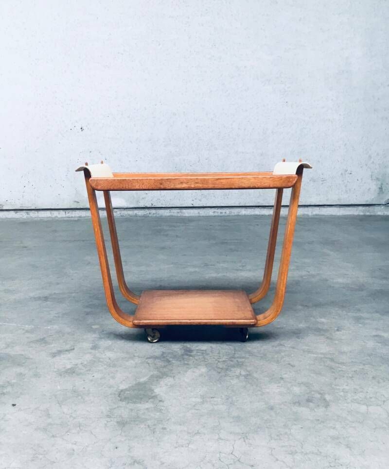 1950's "Rolo" Pb31 Tea Trolley By Cees Braakman For Pastoe photo vintage