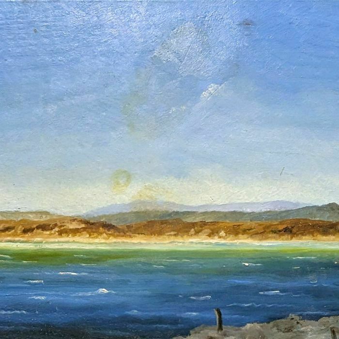 Seaside Landscape With Seagulls French School Philippe Lazare 20th Century photo furniture