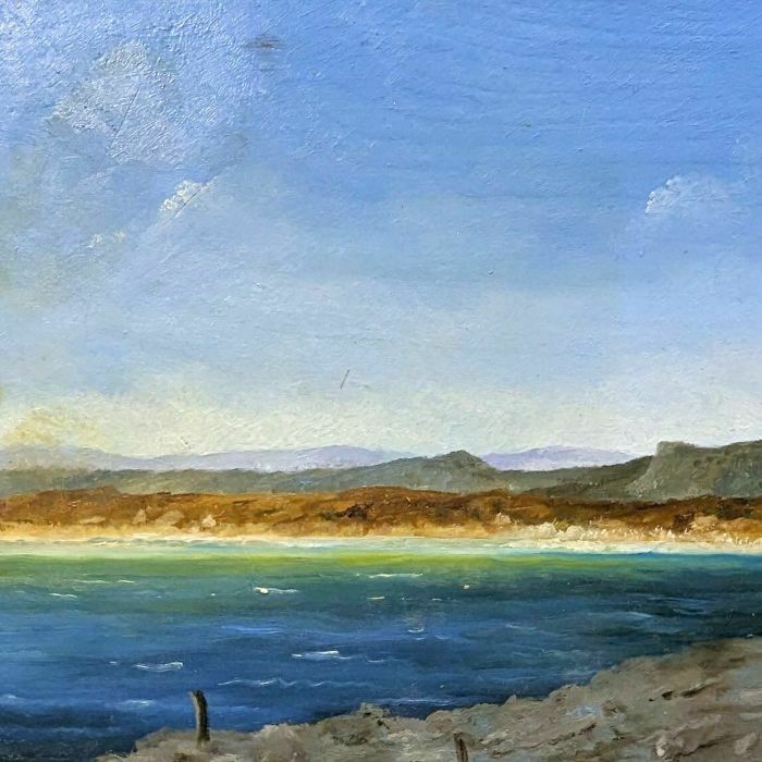 Seaside Landscape With Seagulls French School Philippe Lazare 20th Century photo for sale