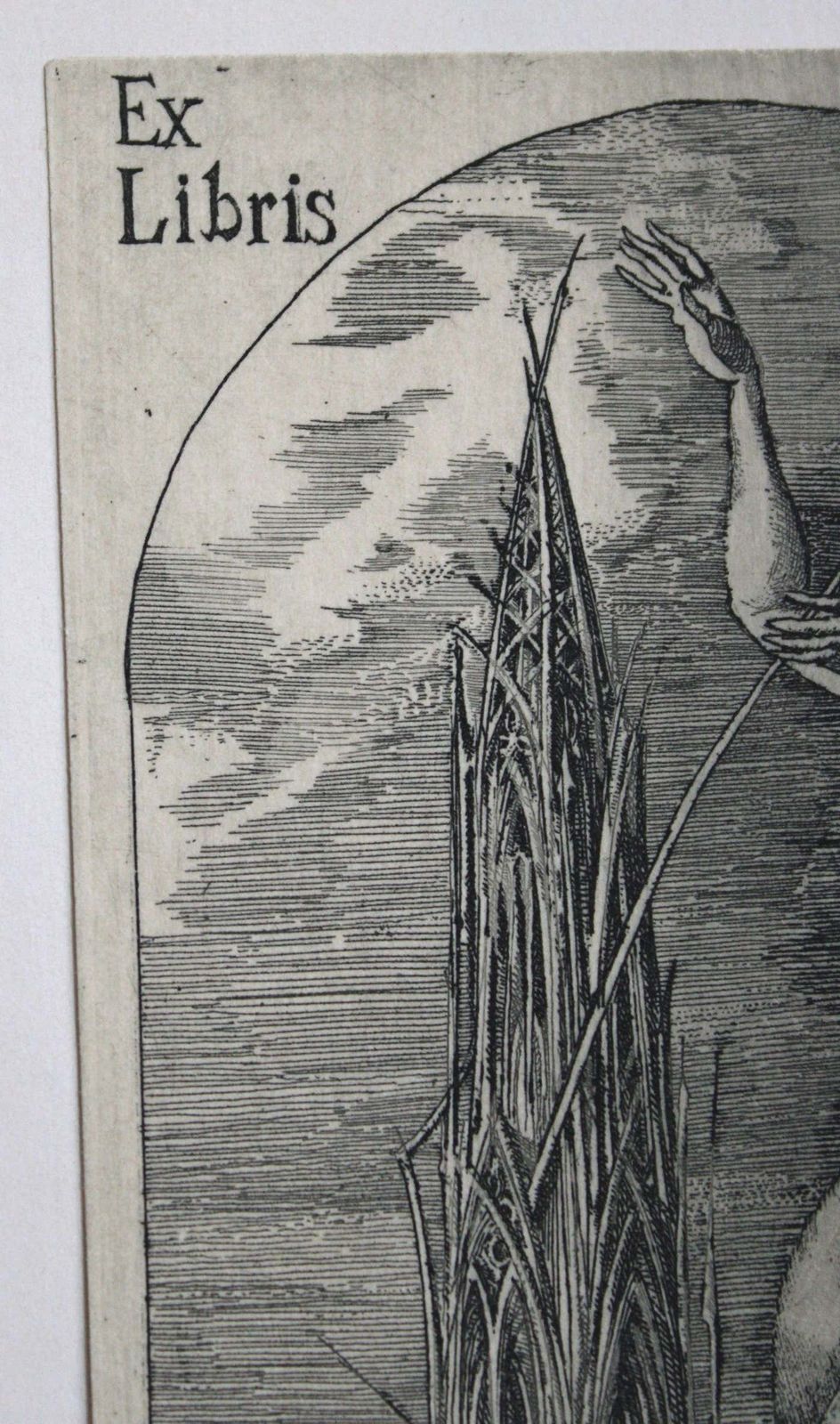 Jelena Antimonova Ex Libris. Paper, Woodcut. photo Art