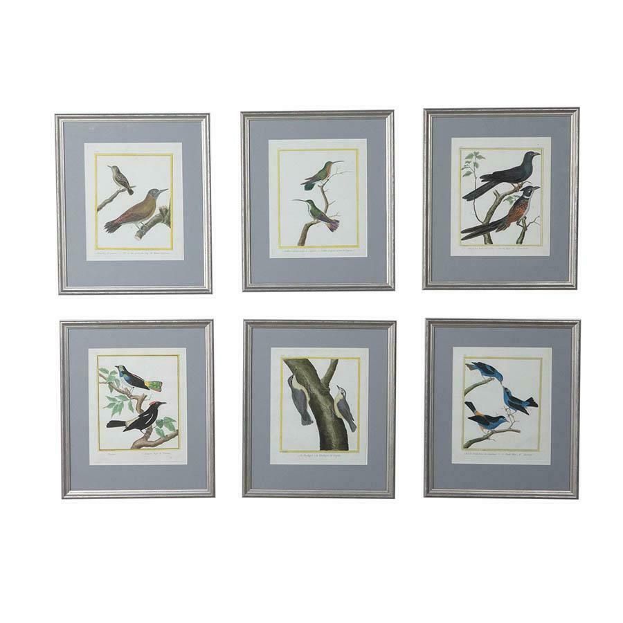 Set Of Six 18th Century Engravings By Francois Nicholas Martinet