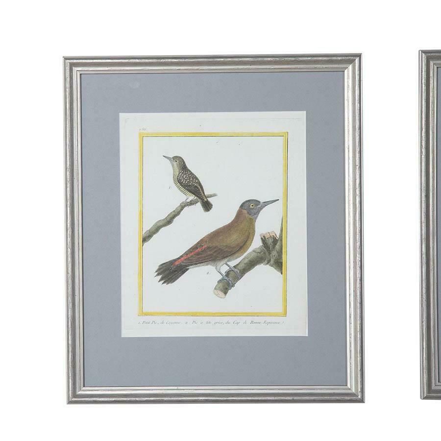 Set Of Six 18th Century Engravings By Francois Nicholas Martinet photo for sale