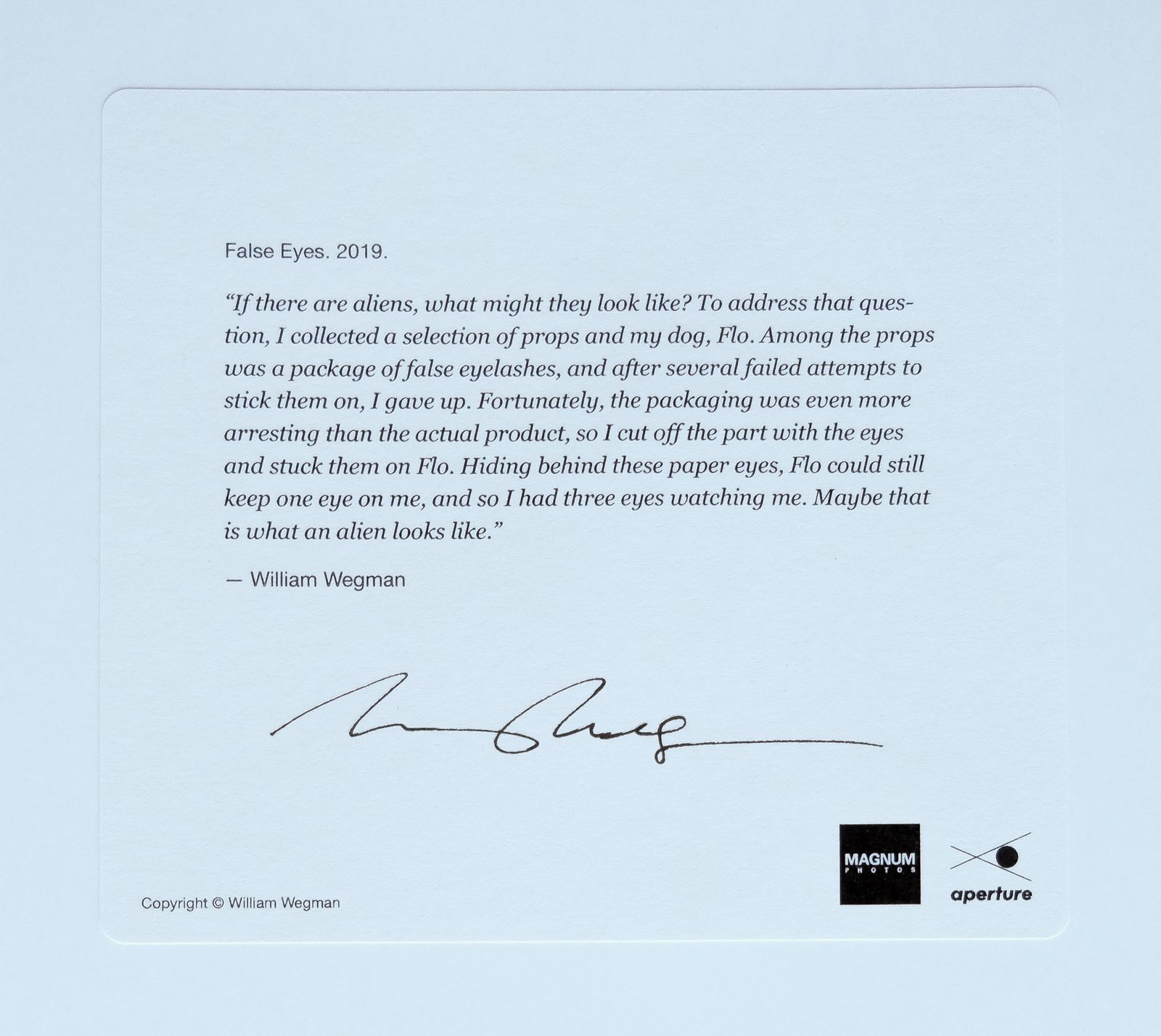 Signed & Framed William Wegman “False Eyes" Magnum Print, 2019 photo Art