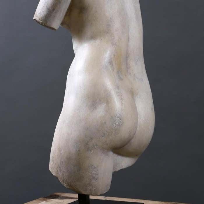 Beautiful Bust Of Venus, The Goddess Of Love, 20th Century. photo for sale