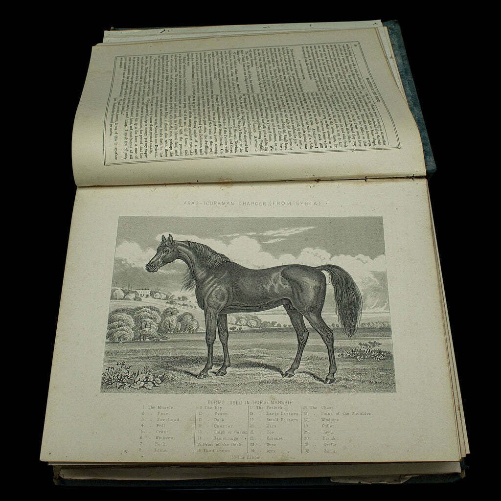 Large Antique Book, Modern Practical Farriery, Wj Miles, English, Circa 1900 photo vinterior