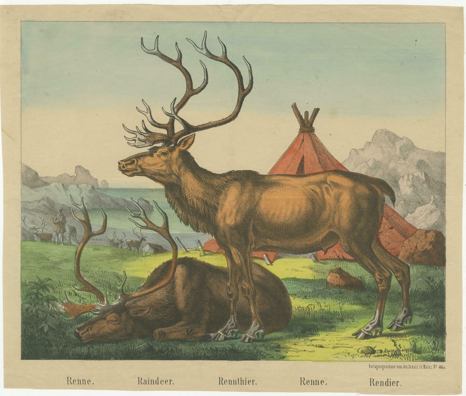 Antique Print Of Reindeer Near A Camp photo furniture