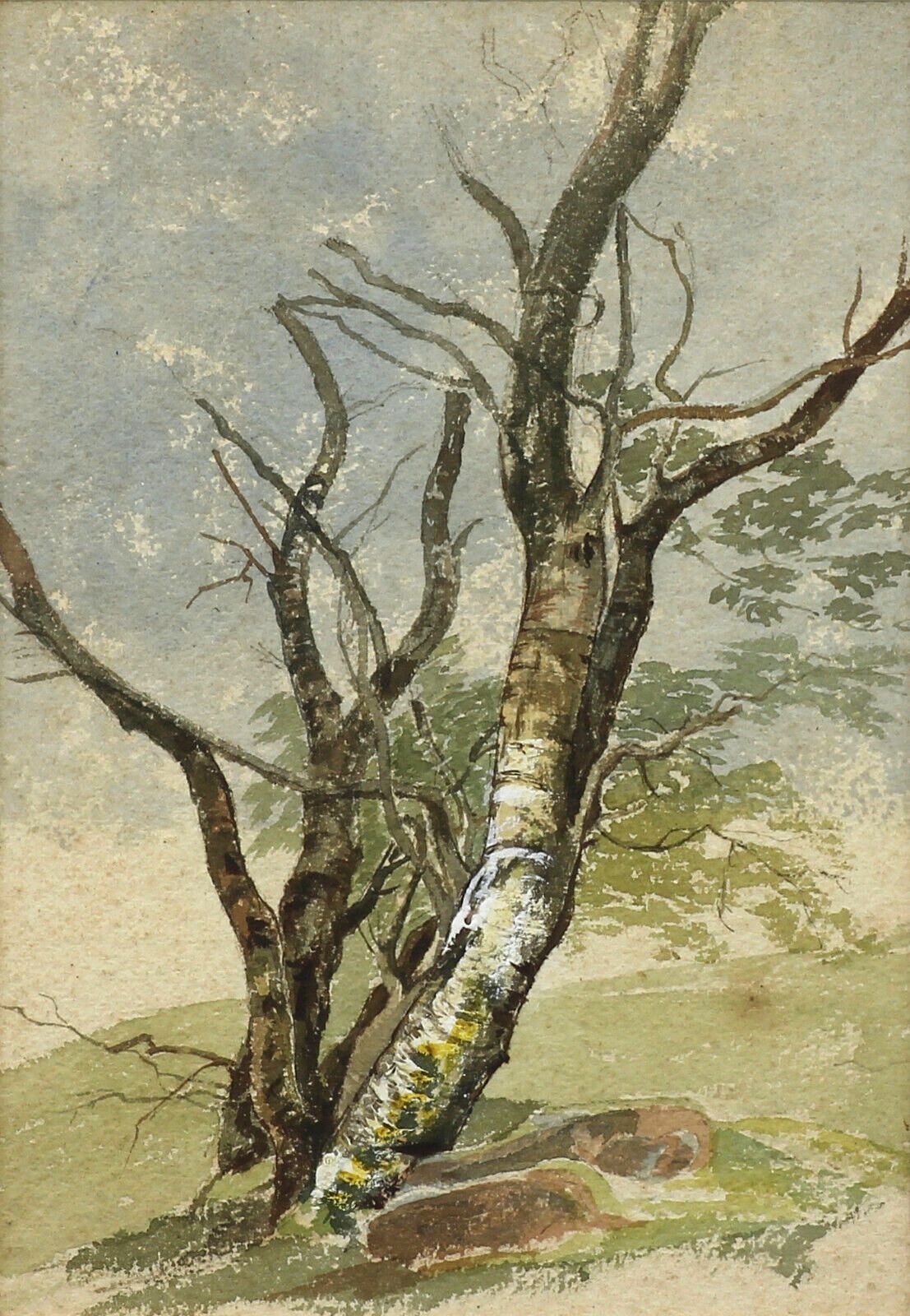 Unsigned Watercolour Subject Is A Tree Study photo furniture