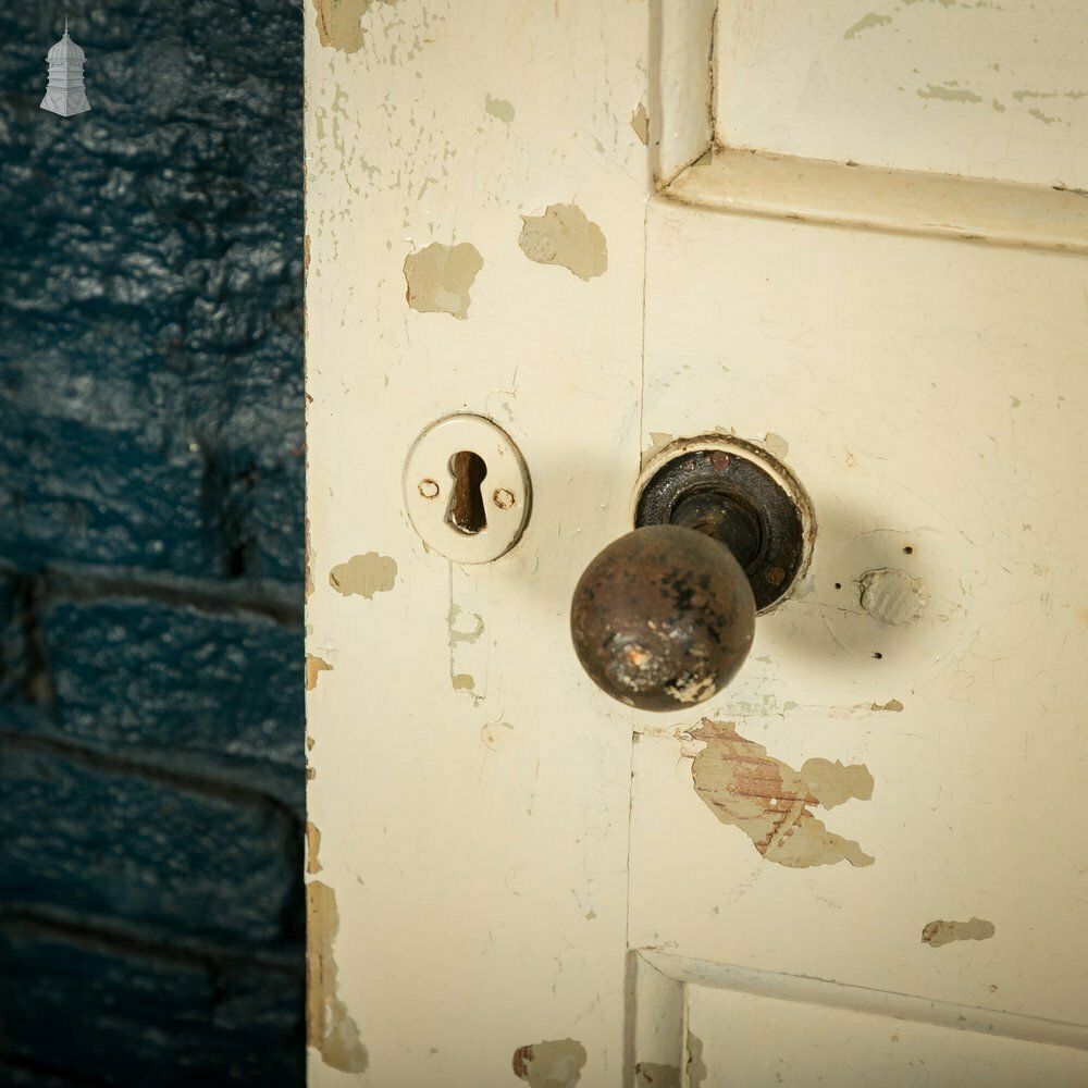 240.0 Pine Panelled Door, 4 Panel Distressed Paint photo