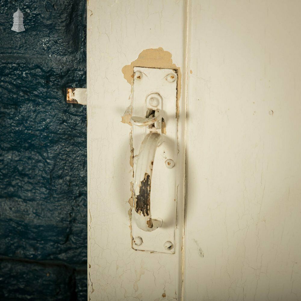 Ledged Plank Door, White Painted photo 210.0