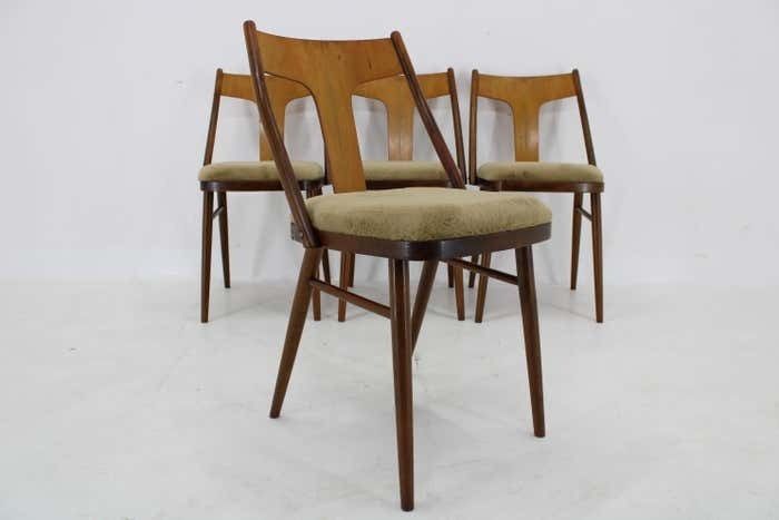 1950s Set Of Four Restored Dining Chairs In Walnut, Czechoslovakia photo 1002.0