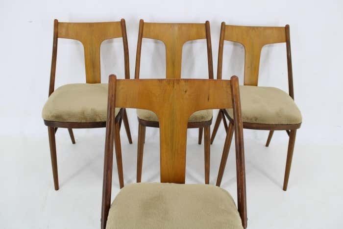 photo vinterior 1950s Set Of Four Restored Dining Chairs In Walnut, Czechoslovakia