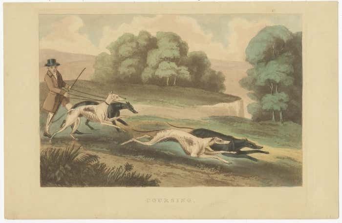 Antique Print Of Hunting Dogs Chasing Circa 1880 photo furniture