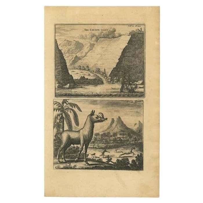 Antique Print Of Church Valley On The Island Of St. Helena And A Hunting Scene