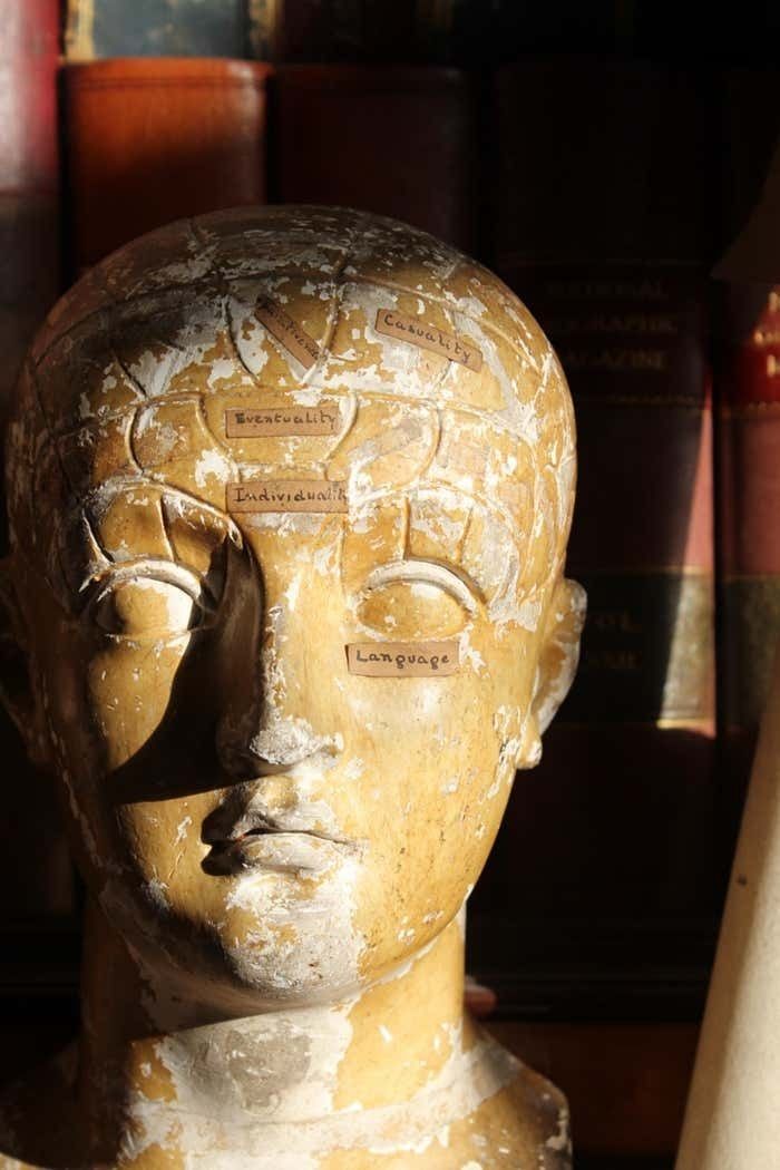 19th C Scientific James Deville L N Fowler Phrenology Plaster Bust Head Curi photo Art