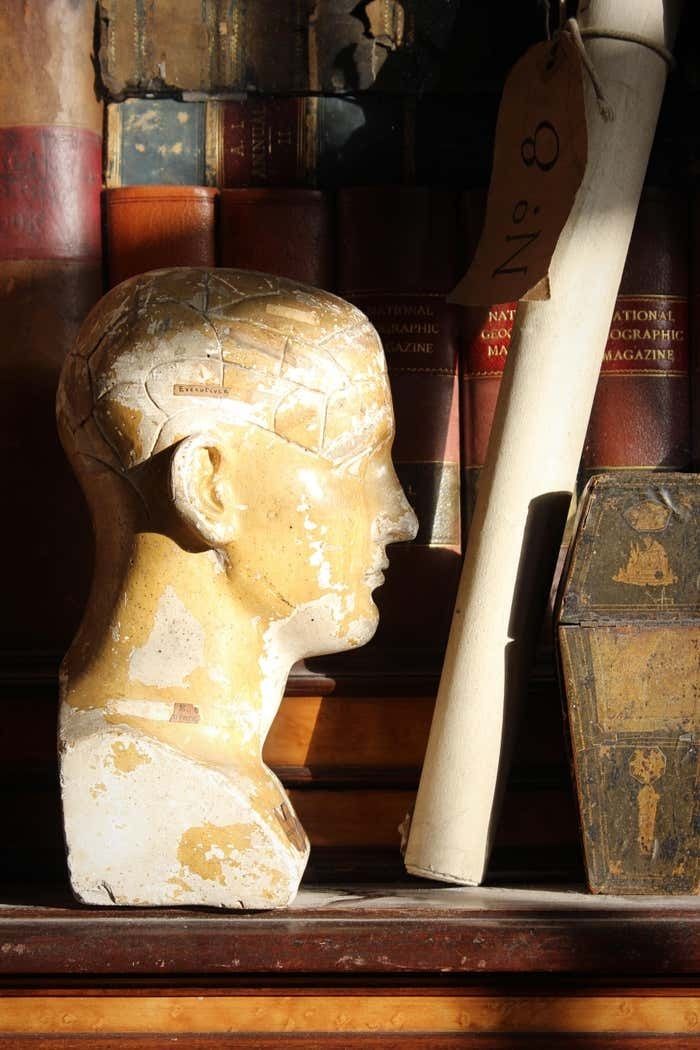 19th C Scientific James Deville L N Fowler Phrenology Plaster Bust Head Curi photo 1495.0