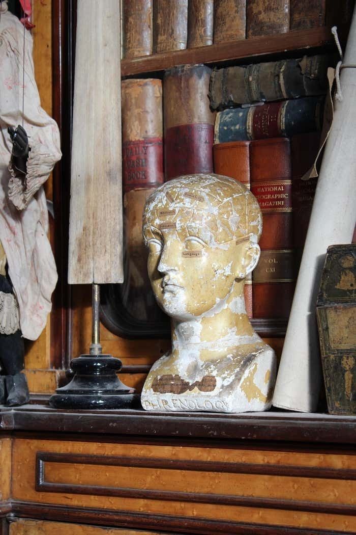 19th C Scientific James Deville L N Fowler Phrenology Plaster Bust Head Curi photo buy