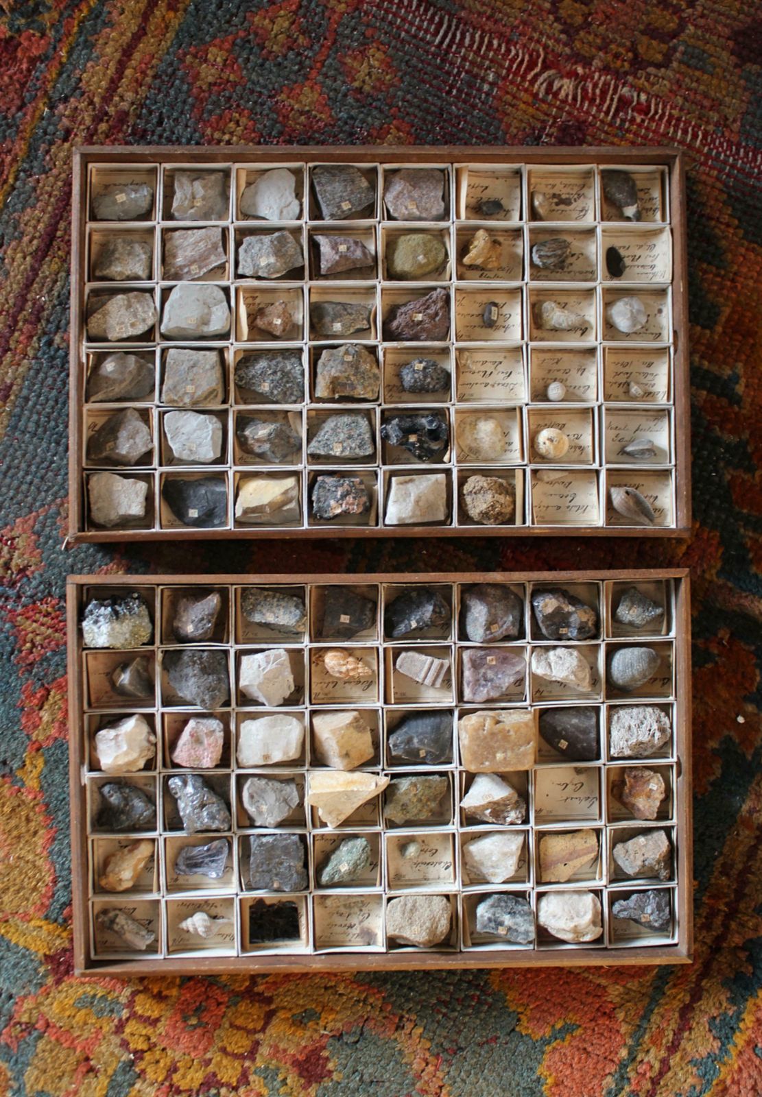 Late 19th C Gregory Bottley Scientific Collection Of Mineral Fossils Shell photo vinterior