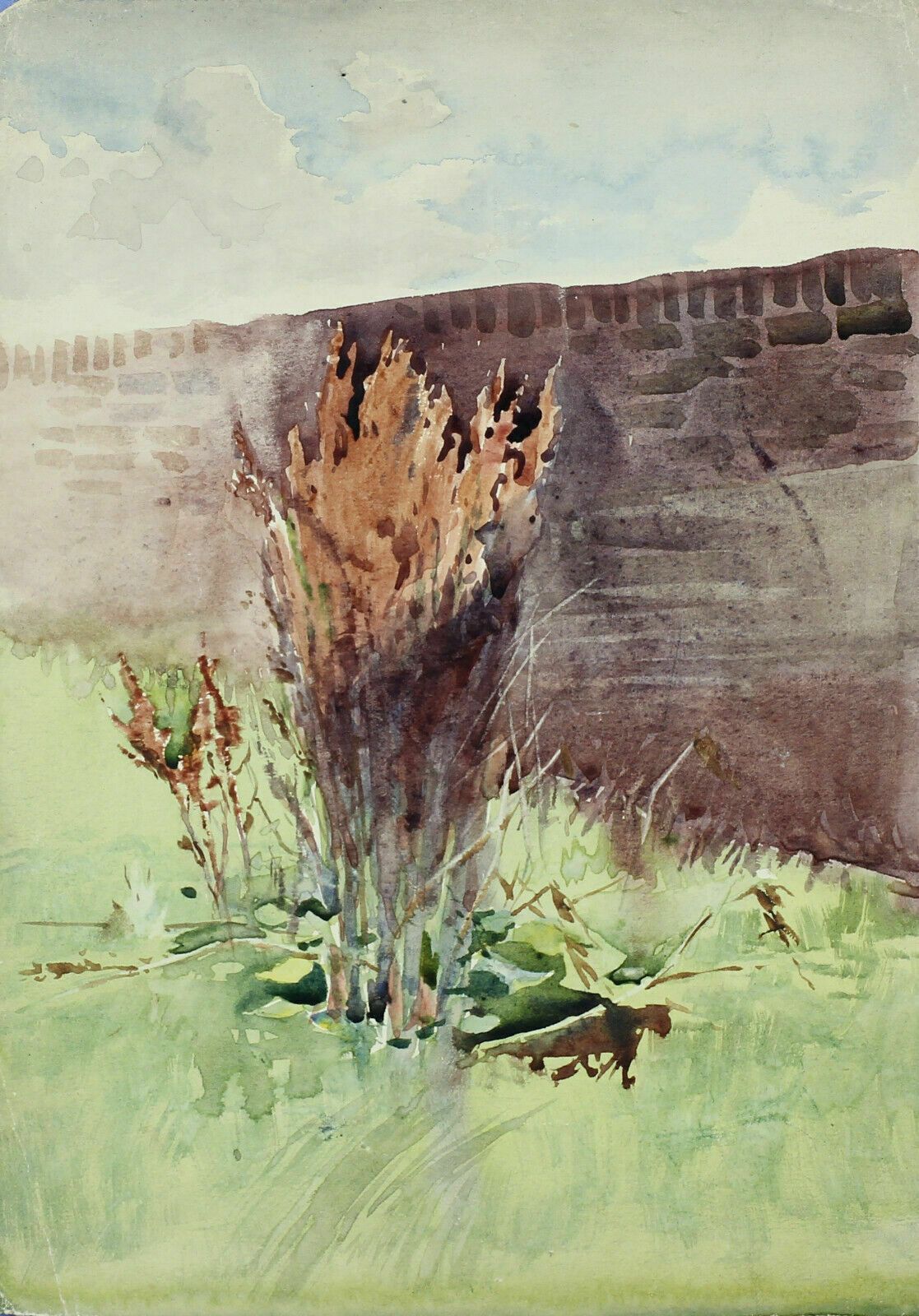 Watercolour By Newlyn Artist John Gutteridge Sykes. Garden Study In Morning.