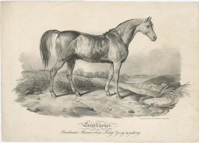 Antique Print Of Race Horse 'Soothsayer', Belonging To King George IV photo furniture