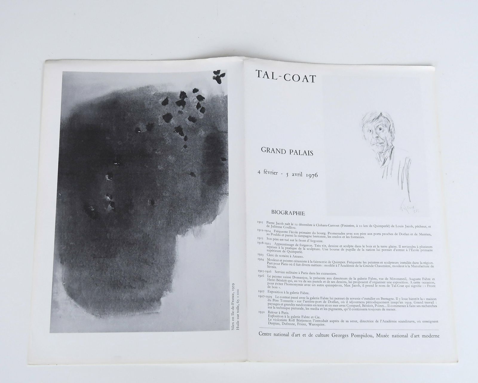 Original Poster : Pierre Tal Coat Exhibition At Le Grand Palais Paris, 1976 / Print, Beige, Abstract Painting, Art photo buy
