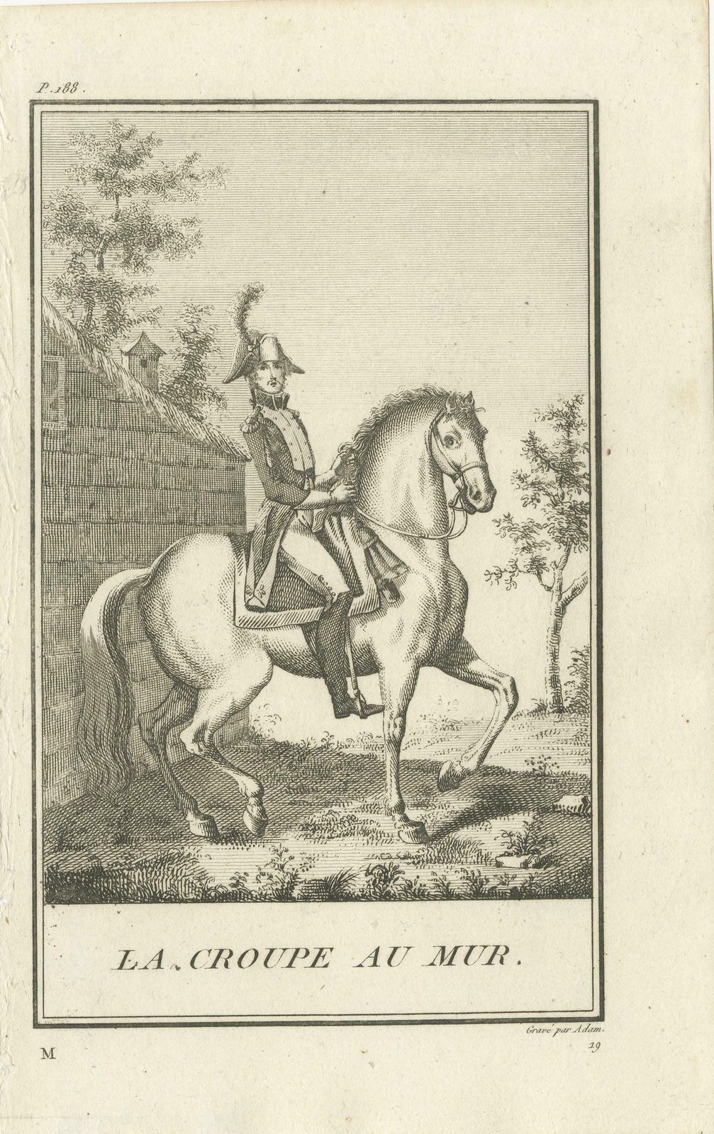 Set Of 5 Antique Horse Riding Prints, Le Piaffer, La Galopade, La Courbette photo 483.0