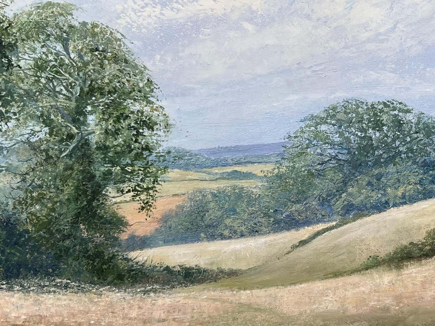 photo for sale Dennis Harper Rural Field Landscape Oil Painting Of An Idyllic English Countryside Scene 1995