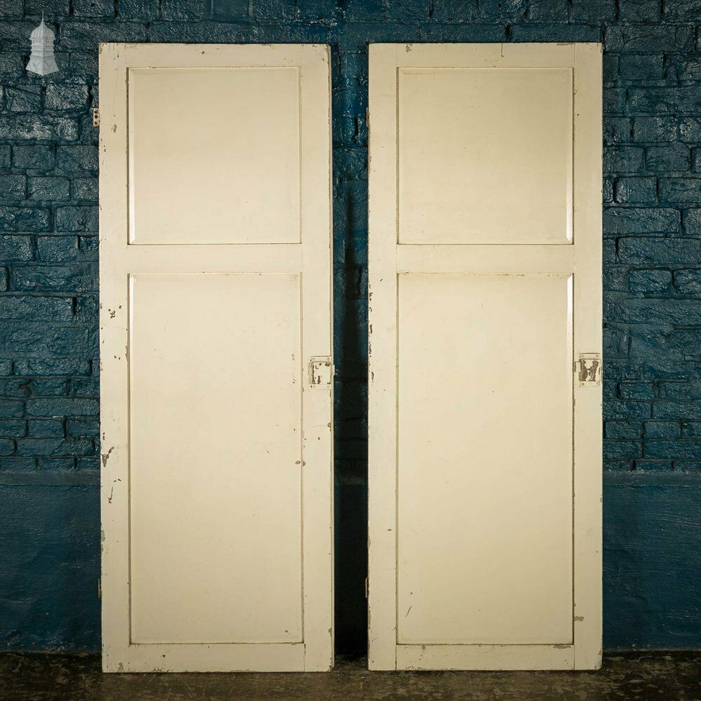 384.0 Pine Panelled Doors, Pair Of 19th C 2 Panel White Painted Cupboard Doors photo