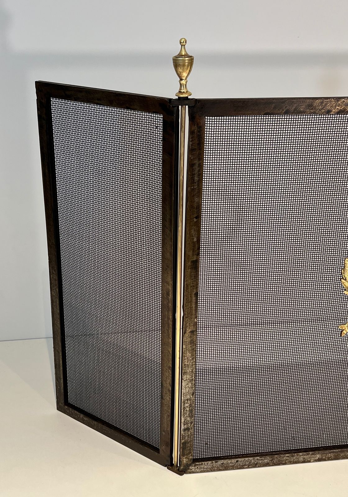 Neoclassical Style Firewall In Steel, Brass And Wire Mesh photo buy